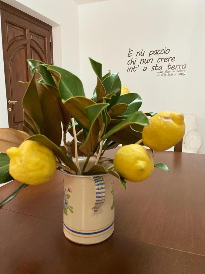 B&B Casa Letizia Trentinara Eksteriør billede